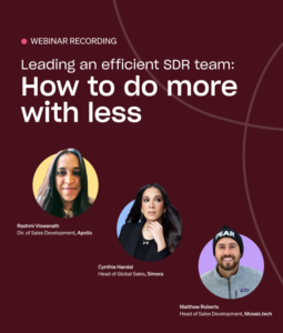 Leading an efficient SDR team: How to do more with less